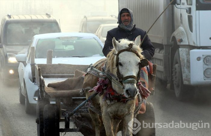 Sıfırın altında 27 derece... Bu fotoğraf bugün çekildi
