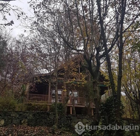 Oyuncu Gülcan Arslan ormana taşındı! 'Börtü böcek bir hayat yaşıyorum'
