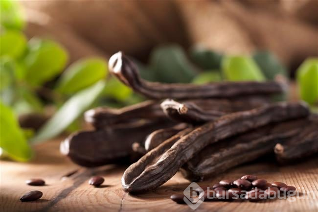 Baklagiller ailesinin baş tacı: Keçiboynuzu
