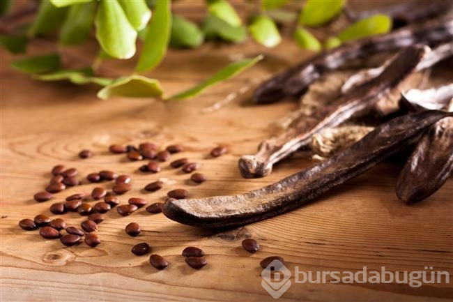 Baklagiller ailesinin baş tacı: Keçiboynuzu

