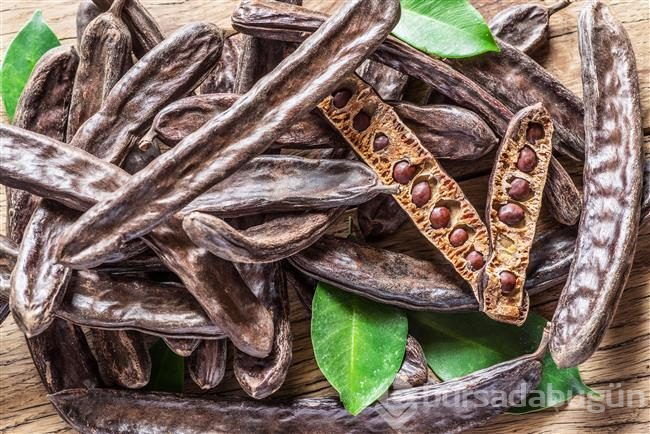 Baklagiller ailesinin baş tacı: Keçiboynuzu
