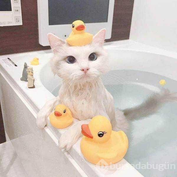Günün en çok paylaşılan fotoğrafları (07.02.2019)