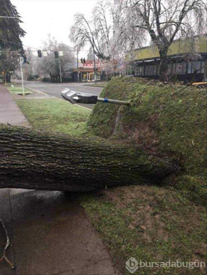 Günün en çok paylaşılan fotoğrafları (07.02.2019)