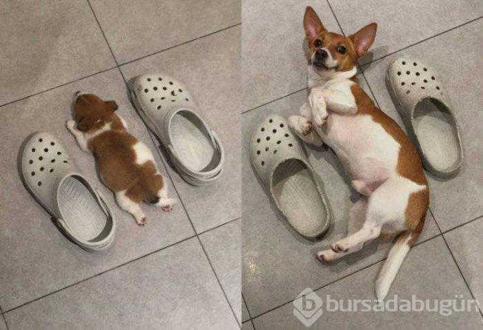 Günün en çok paylaşılan fotoğrafları (07.02.2019)