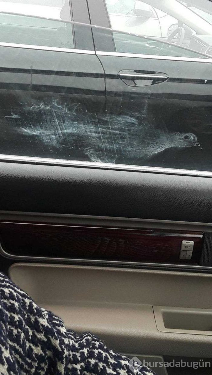 Günün en çok paylaşılan fotoğrafları (07.02.2019)