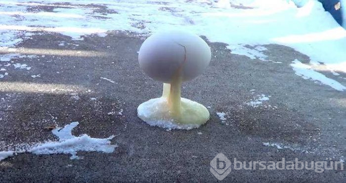 Günün en çok paylaşılan fotoğrafları (07.02.2019)