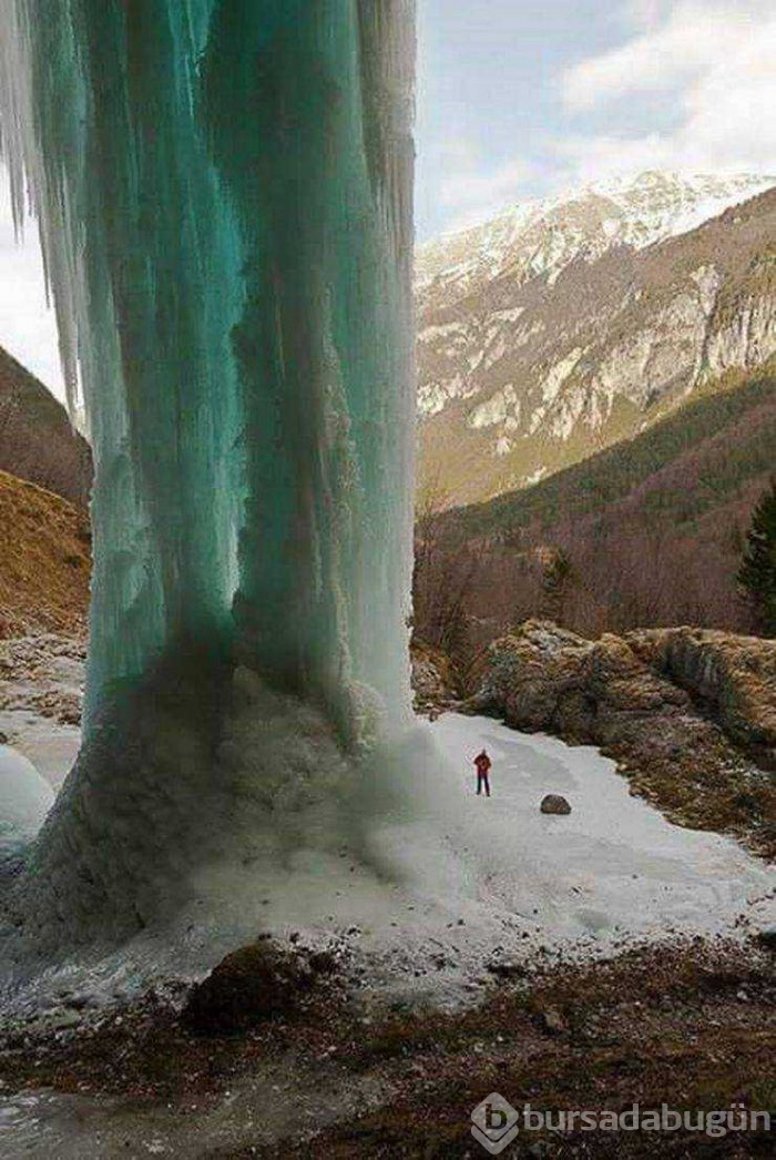 Günün en çok paylaşılan fotoğrafları (07.02.2019)