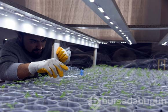 Görenler inanamadı! Evinin salonuna öyle bir şey yaptı ki...
