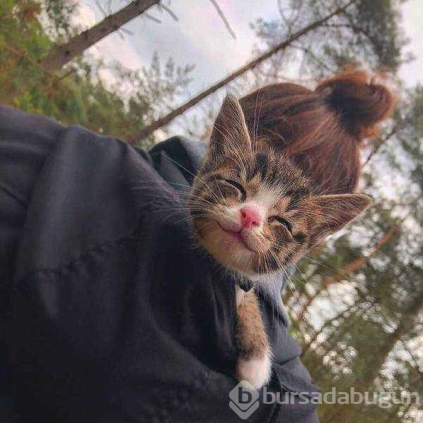 Günün en çok paylaşılan fotoğrafları (08.02.2019)