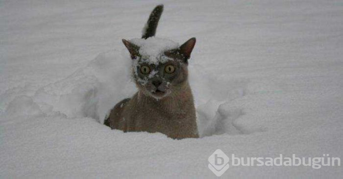 Günün en çok paylaşılan fotoğrafları (08.02.2019)