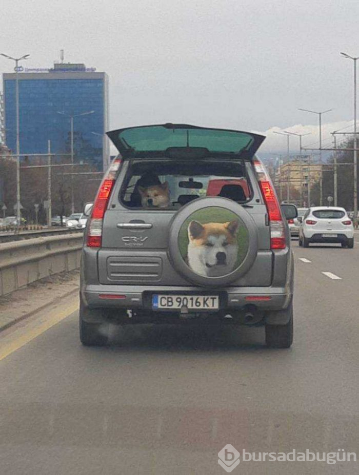 Günün en çok paylaşılan fotoğrafları (08.02.2019)