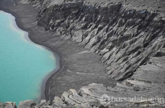 Dünyanın en yeni adasında hayat belirtileri görüldü
