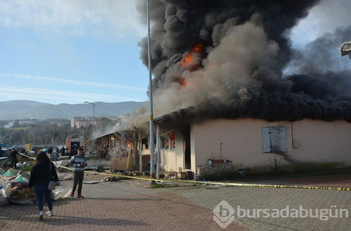 Sinop'ta balık satış mağazalarında yangın