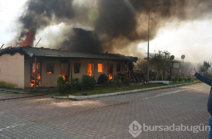 Sinop'ta balık satış mağazalarında yangın