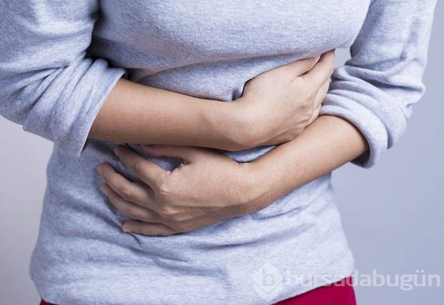 Karaciğer kist hidatiği nedir?
