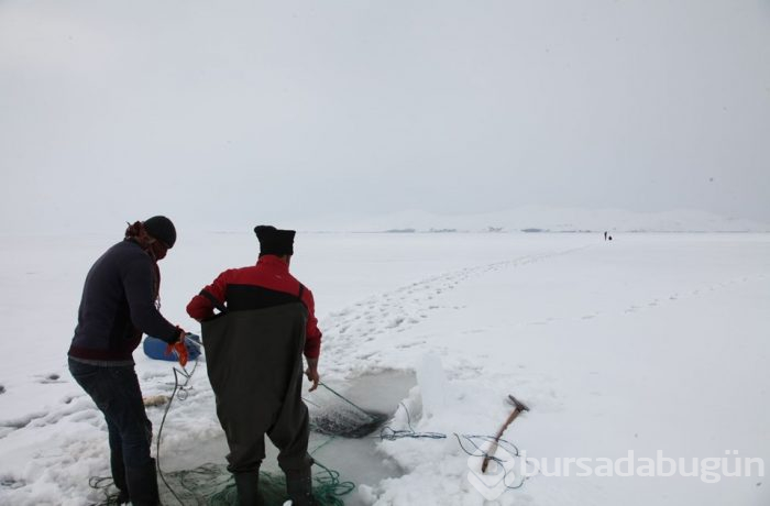 Bitlis'te donan gölde balık avı