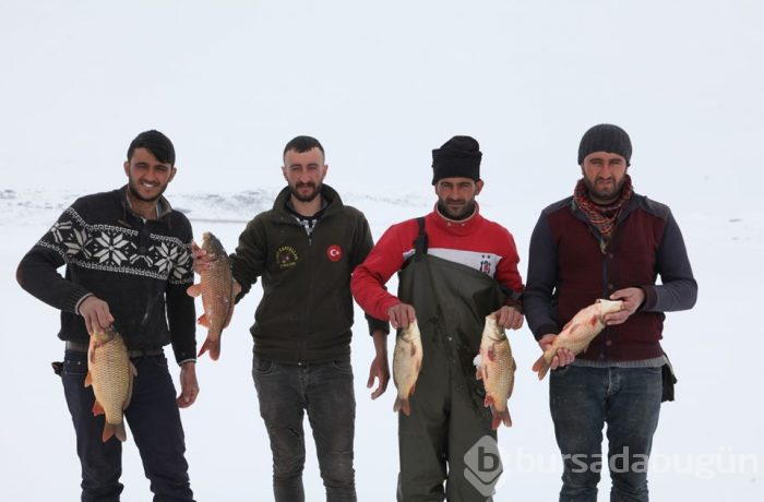 Bitlis'te donan gölde balık avı