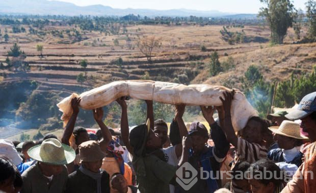 Madagaskar'da tüyler ürperten festival
