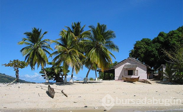 Madagaskar'da tüyler ürperten festival
