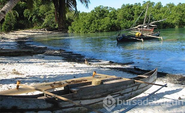 Madagaskar'da tüyler ürperten festival

