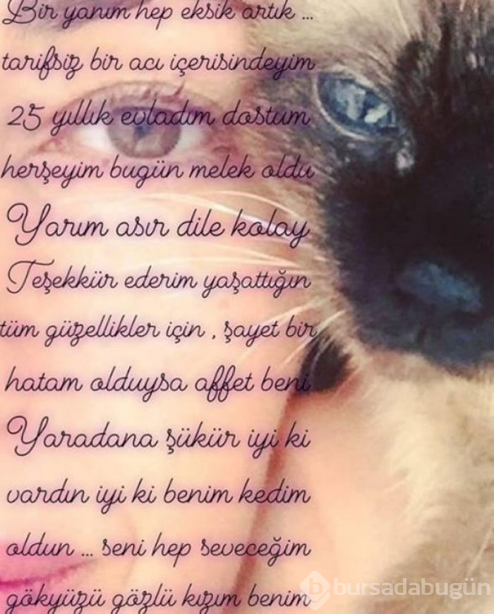 Gökçe Yanardağ: Bugün 25 yıllık dostumu kaybettim
