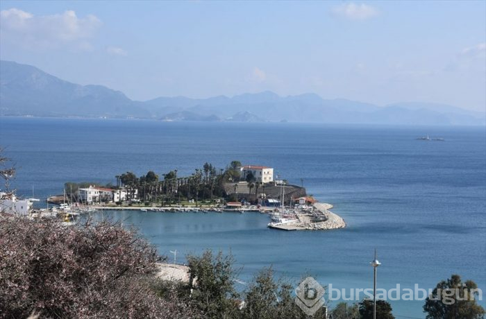 Muğla'da Badem Çiçeği Festivali'nden renkli görüntüler