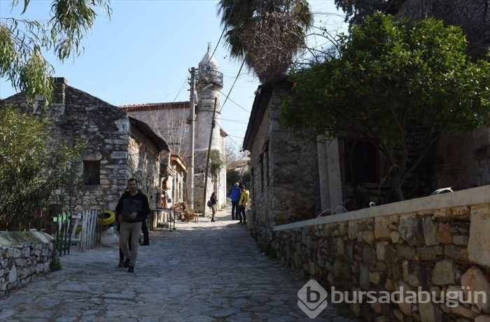 Muğla'da Badem Çiçeği Festivali'nden renkli görüntüler
