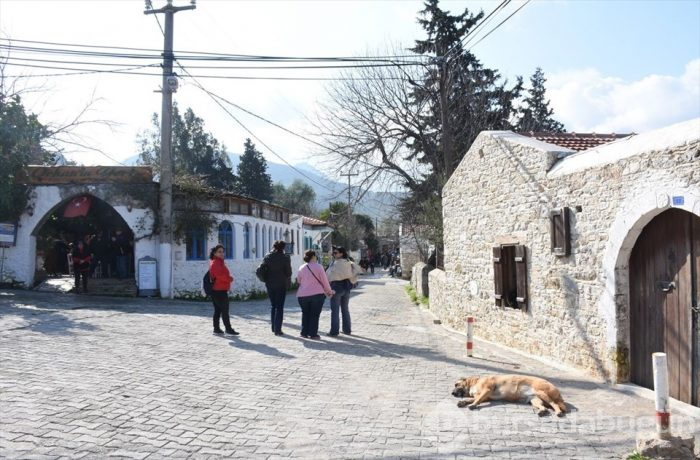 Muğla'da Badem Çiçeği Festivali'nden renkli görüntüler