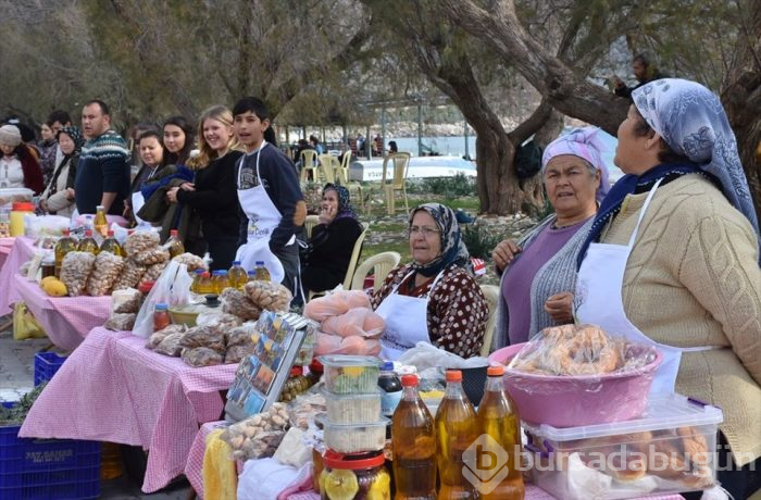 Muğla'da Badem Çiçeği Festivali'nden renkli görüntüler