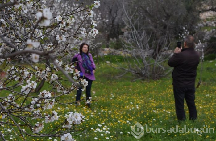 Muğla'da Badem Çiçeği Festivali'nden renkli görüntüler