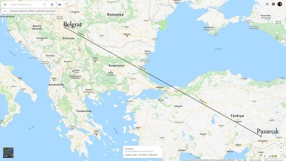 1600 km uzaktan gelmiş... Nesli tükenmekte...