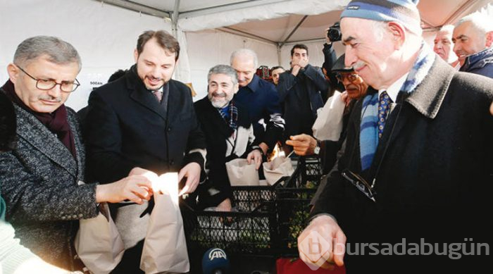 Sebzeye bir 'haller' oldu
