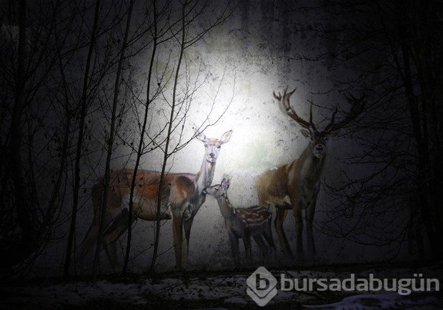 Çernobil'de son durum

