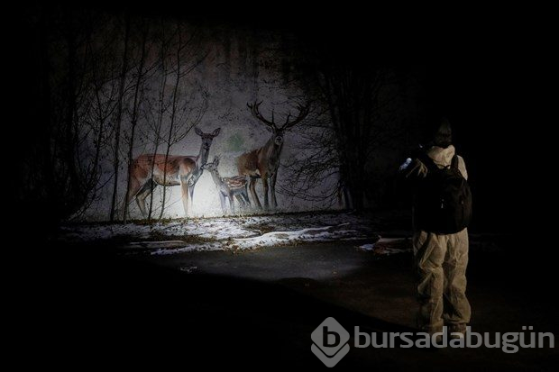 Çernobil'de son durum

