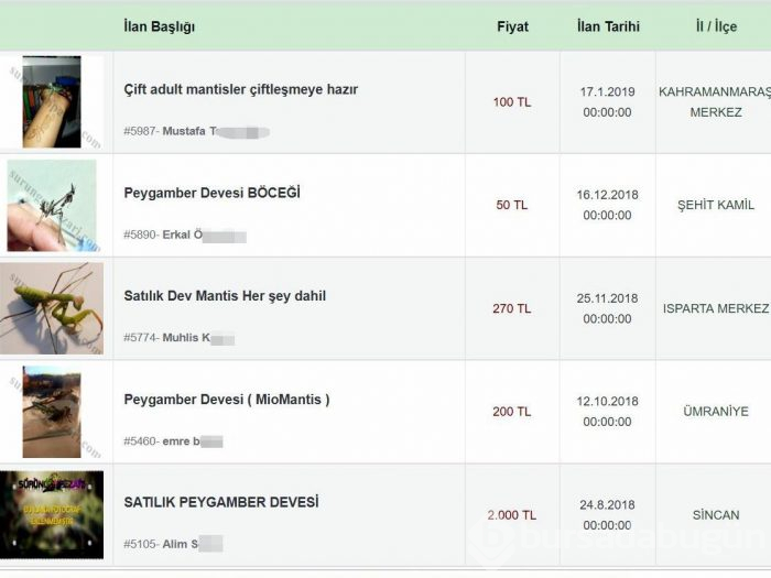 Yasak olmasına rağmen satıyorlar