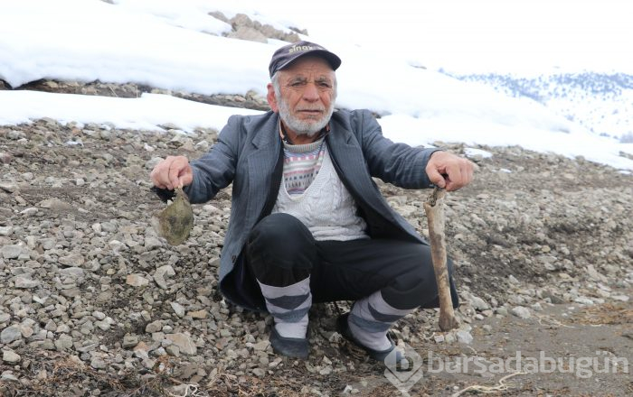 12 yıl sonra mezarlarına ulaştılar
