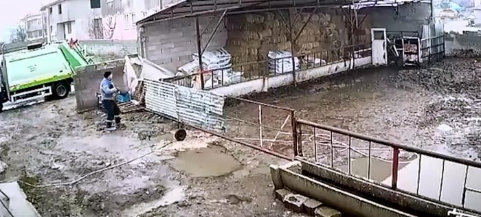 Uyuşturucu tüfekle vurulan köpek, çöp kamyonuna atılmış
