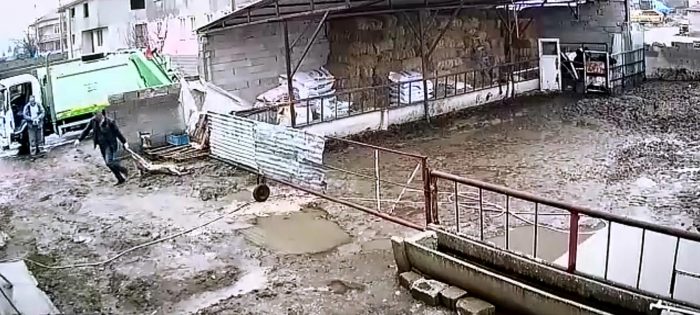 Uyuşturucu tüfekle vurulan köpek, çöp kamyonuna atılmış
