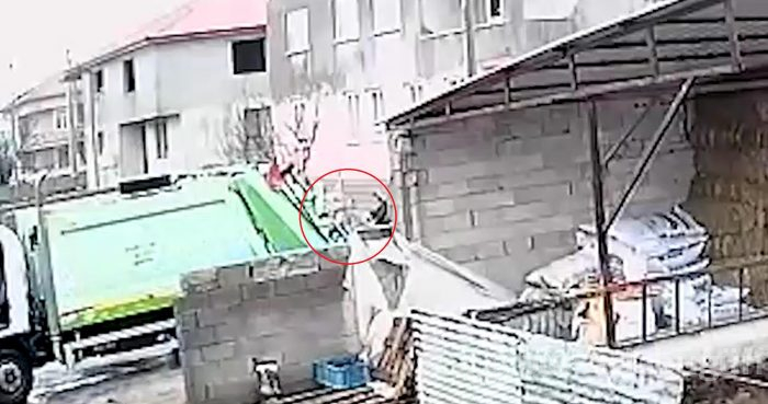 Uyuşturucu tüfekle vurulan köpek, çöp kamyonuna atılmış
