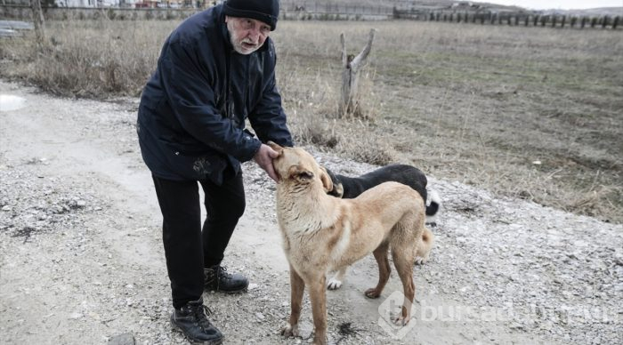 "Can dostlara" sıcak yuva
