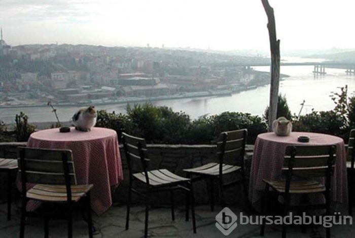 14 Şubat Sevgililer Günü'nü İstanbul'da geçireceklere öneriler