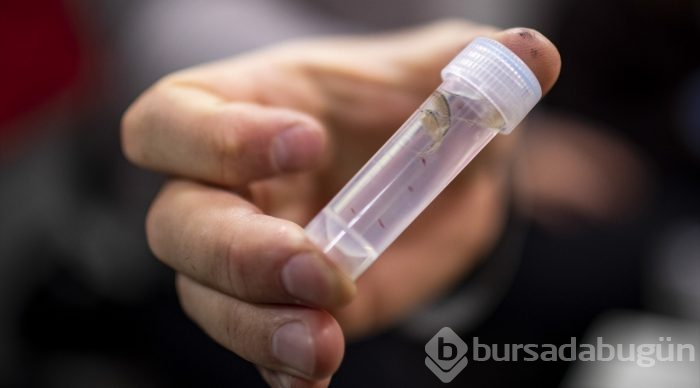 Antarktika Türk bilim insanlarına "laboratuvar" oldu
