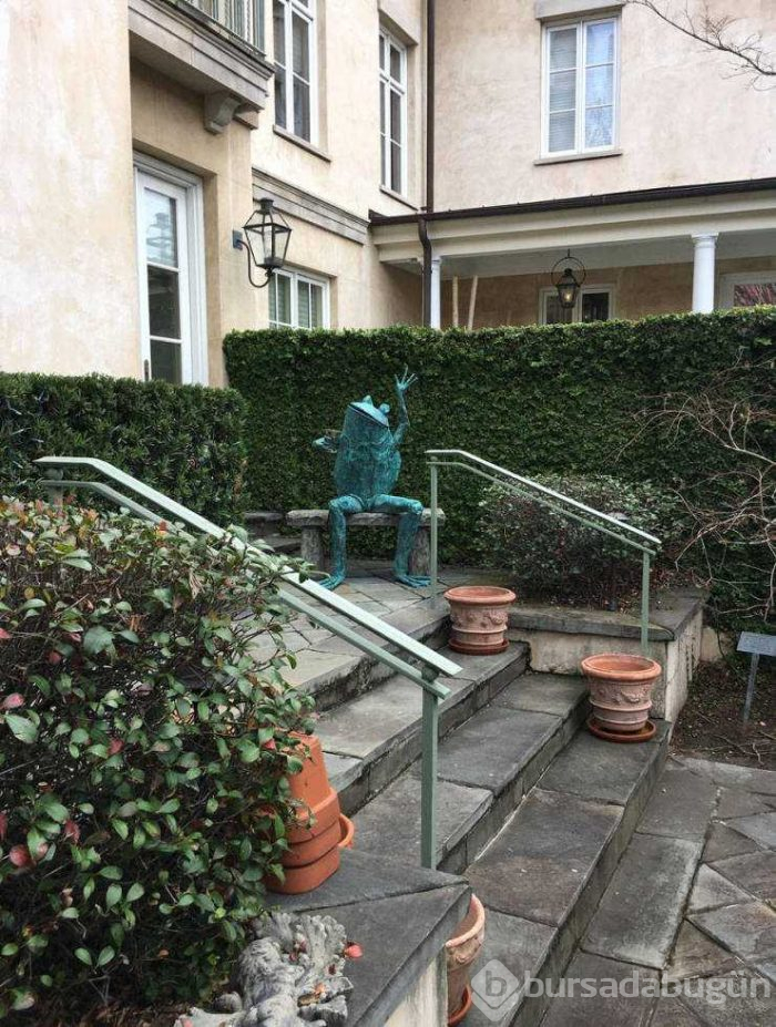Günün en çok paylaşılan fotoğrafları (14.02.2019)
