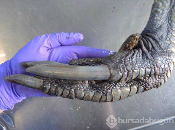 Günün en çok paylaşılan fotoğrafları (14.02.2019)