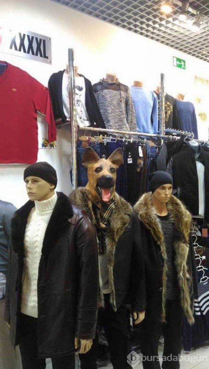 Günün en çok paylaşılan fotoğrafları (14.02.2019)