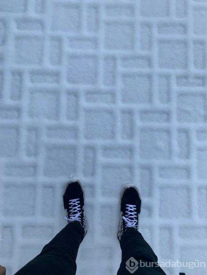 Günün en çok paylaşılan fotoğrafları (14.02.2019)