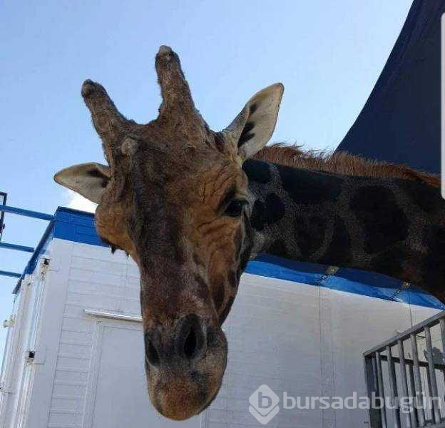 Günün en çok paylaşılan fotoğrafları (14.02.2019)