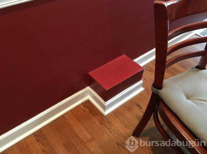 Günün en çok paylaşılan fotoğrafları (14.02.2019)