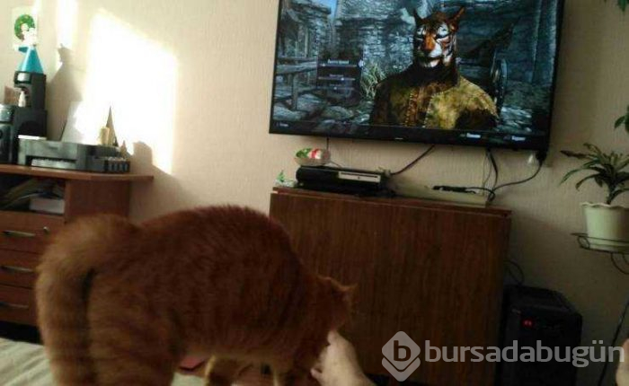 Günün en çok paylaşılan fotoğrafları (14.02.2019)