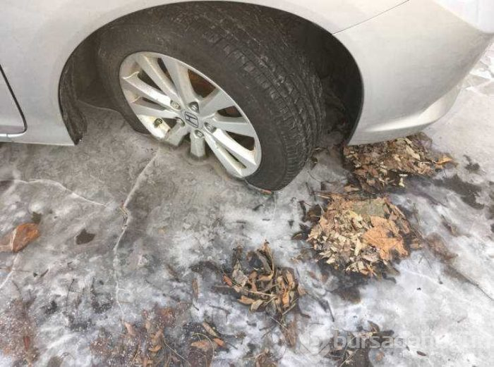 Günün en çok paylaşılan fotoğrafları (14.02.2019)